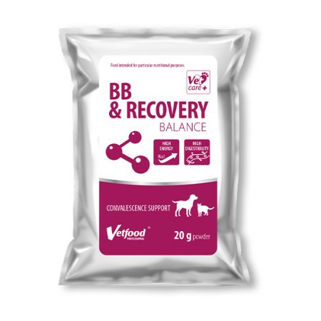 BB & Recovery