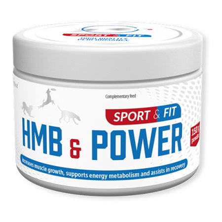HMB & Power
