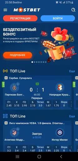 كل ما تحتاج لمعرفته عن 1xbet في مصر كل ما تحتاج لمعرفته عن 1xbet في مصر